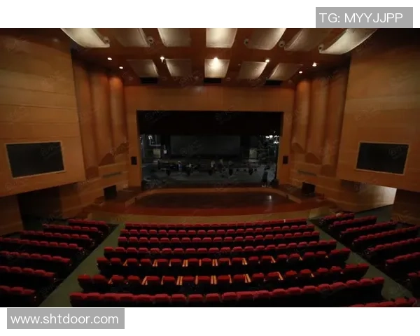 杭州乒乓球队的节奏与魅力探秘：从训练到比赛的全景观察